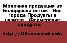 Молочная продукция из Белоруссии оптом - Все города Продукты и напитки » Фермерские продукты   